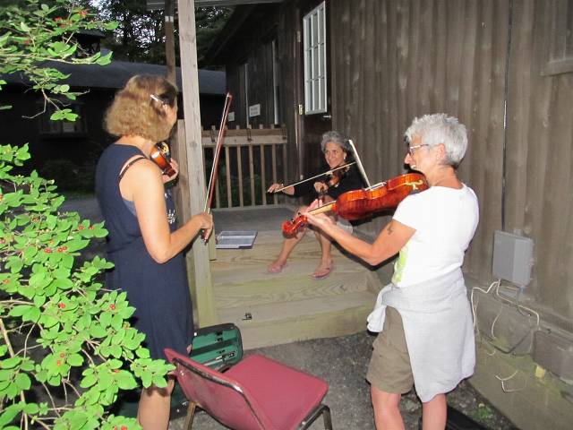 Seemingly daily fiddle club